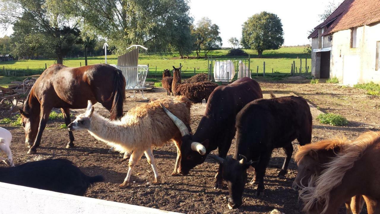 La Ferme Aux Kangourous Donzy ภายนอก รูปภาพ