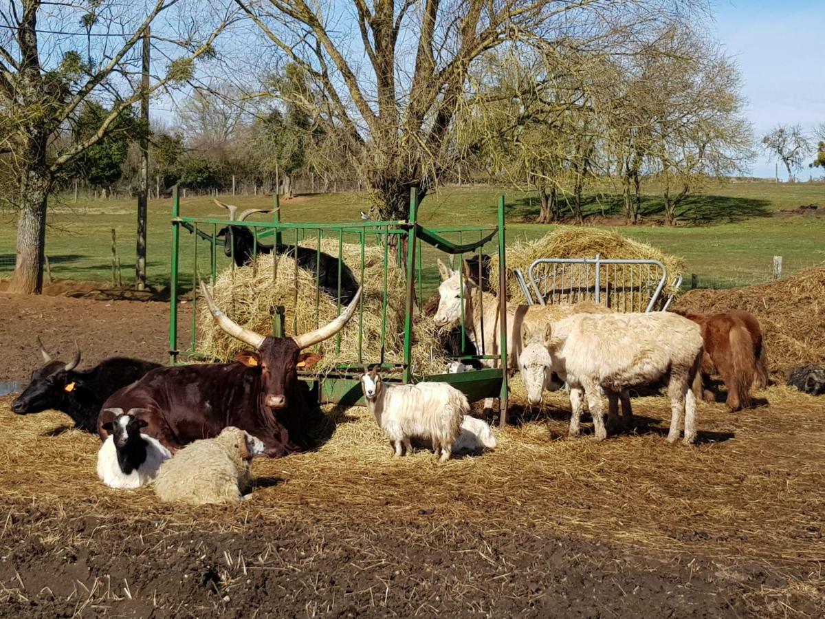 La Ferme Aux Kangourous Donzy ภายนอก รูปภาพ